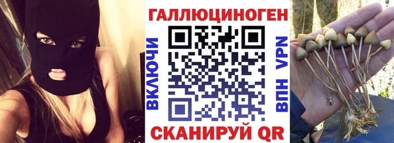 купить  сайты  Жуковский  Псилоцибиновые грибы Cubensis 